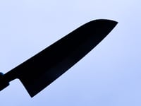 Image 3 of 180MM SANTOKU #292