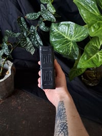 Image 3 of "Mustatorvisieni" pocket book