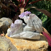 Image 2 of Purple Hackmanite Dragon B