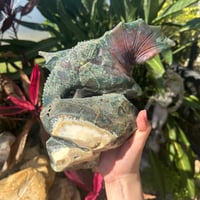 Image 5 of Ocean Jasper Dragon