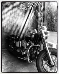 American dream/up in smoke