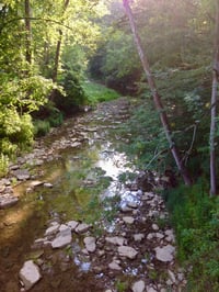 Faces - Elkhorn cemetery 