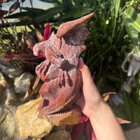 Image 4 of Red Ocean Jasper Dragon 