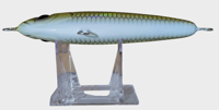 Image 3 of 40g Goldie Floating Stick Bait 