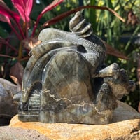 Image 2 of Labradorite Dragon 