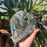 Image 5 of Labradorite Dragon 