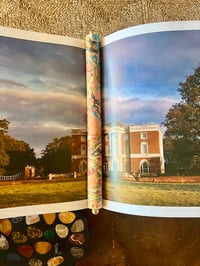 Image 3 of 12" Book Stave