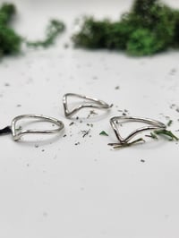 Image 3 of Chevron rings