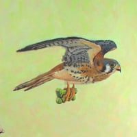 Image 4 of The Biscuit Thief