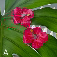 Image 1 of Hibiscus Love- Earrings