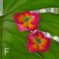 Image 5 of Hibiscus Love- Earrings