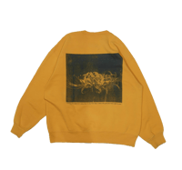 Image 2 of Follow The Path - Vintage Russle Yellow Crew Neck (1 of 1)