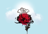 Image 3 of 'A poppy blooms' 