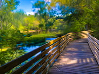 Boardwalk Under Bridge