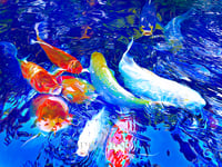 Koi 4