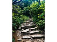 Stepstones (Mt Mitchell 18)