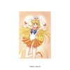 Preorder - Sailor Moon Desktop Postcard Calendar