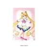 Preorder - Sailor Moon Desktop Postcard Calendar