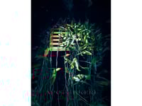 Orchid Basket