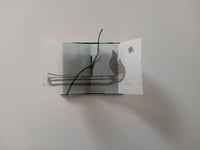 Image 4 of + CERINI  - CELERINI 