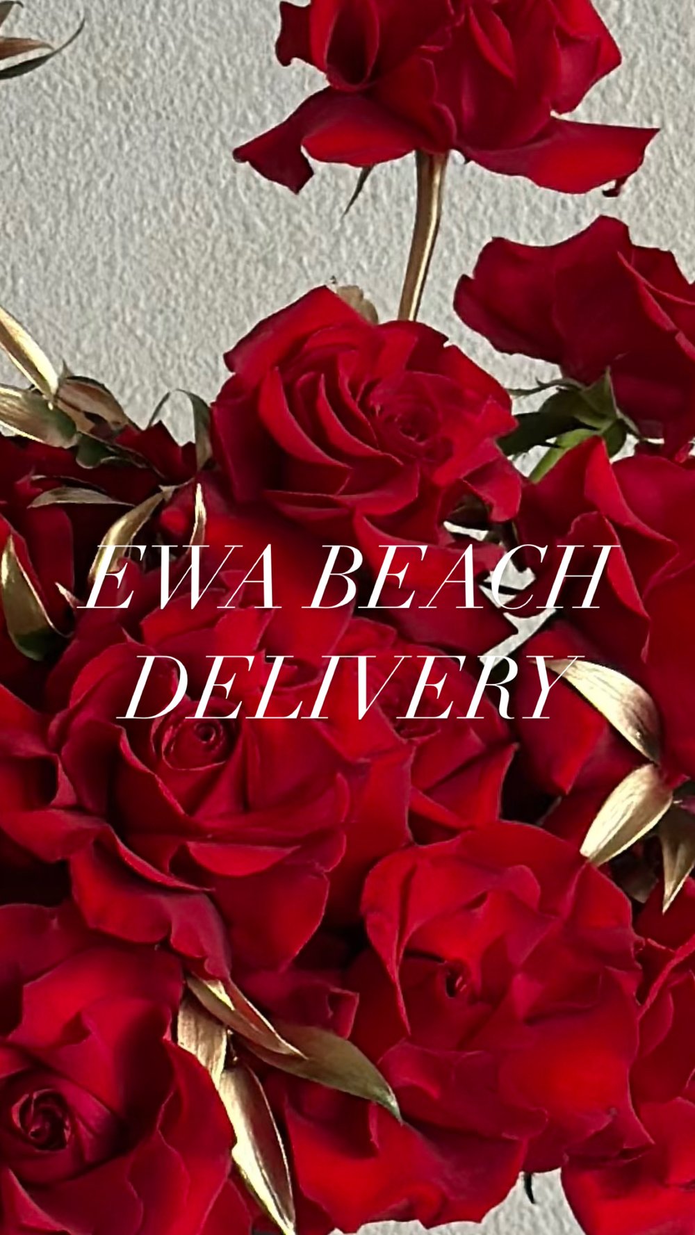 Image of Ewa Beach Delivery