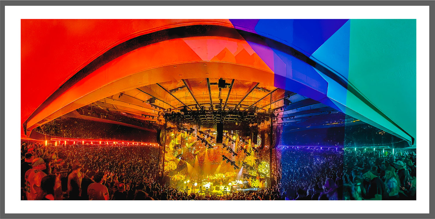 YEMSG '24-25 N3 Mushroom Pano