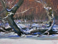 Lake Tacoma Shore – Snowy Belle Isle Landscape