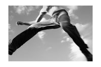 Image 1 of TOUT PRES DE TOI - TIRAGES 