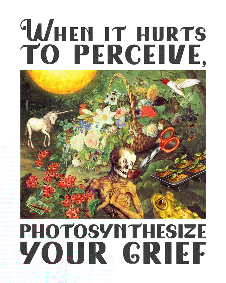 Image of Photosynthesize Your Grief