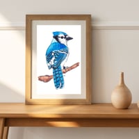 Image 2 of Blue Jay Watercolor Painting Fine Art Print