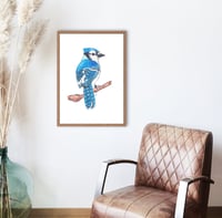 Image 3 of Blue Jay Watercolor Painting Fine Art Print
