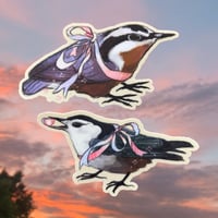 Image 1 of transgender nuthatch stickers