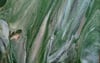 Rain Forest 120-90 cm UNFRAMED 