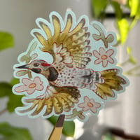 northern flicker sticker