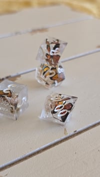 Image 2 of Monarch - butterfly dice set