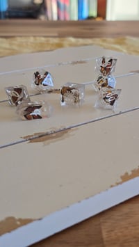 Image 4 of Monarch - butterfly dice set