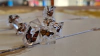 Image 1 of Monarch - butterfly dice set