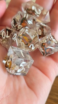 Image 6 of Monarch - butterfly dice set