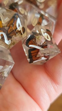 Image 7 of Monarch - butterfly dice set