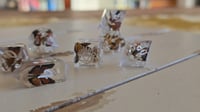 Image 8 of Monarch - butterfly dice set