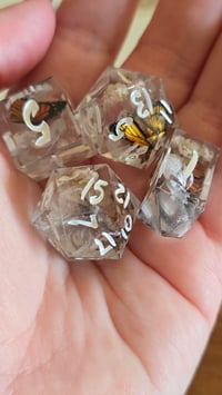 Image 1 of Monarch - d20 pairs 