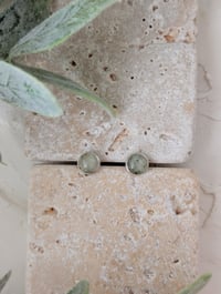 Image 2 of Prehnite Stud Earrings