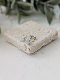 Image 1 of Moonstone Stud Earrings