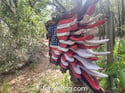 # 688 SMALL BATTLE FLAG