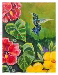 Image 1 of ¡Un Picaflor! - Art Print 