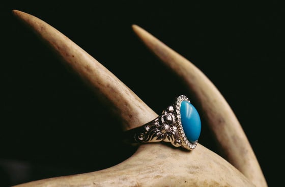 Image of Sleeping Beauty Signet