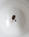 Image of Gaiwan #6
