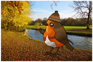 Image of WEIR 'ROBIN'.