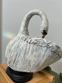 Image 4 of Swan Cave