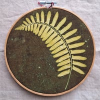 Image 1 of Avocado Green 6" sunprint on fabric